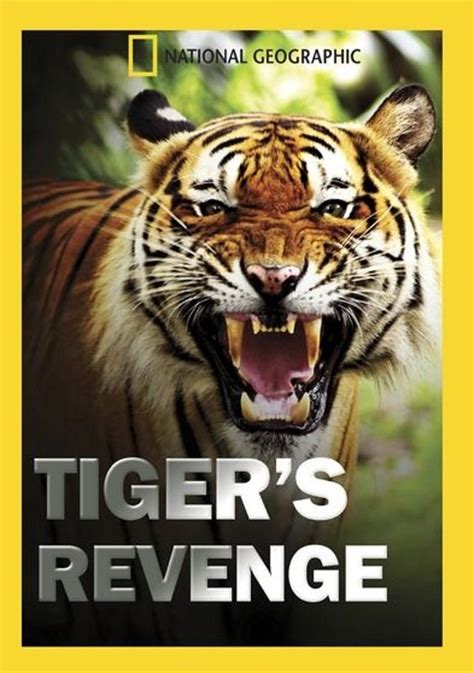A Tiger's Destiny: Breaking the Chains of the Curse